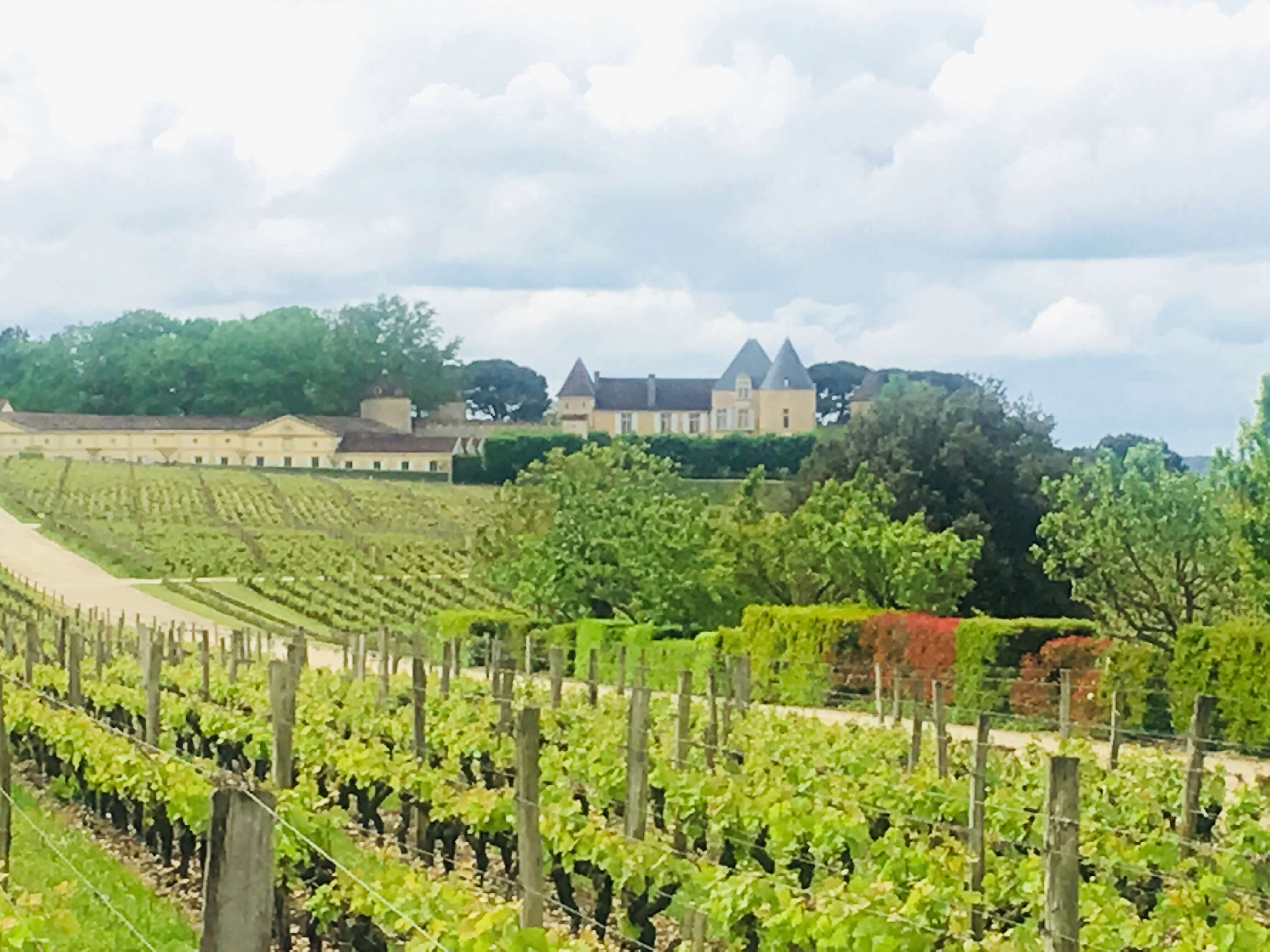 Bordeaux - ærverdige slott, dyre viner og ett av verdens mest prestisjefylte vindistrikt. Og, heldigvis: en vintur til Bordeaux er kun en kort og rimelig flytur unna Norge. Å få oppleve ulike vindistrikt, deres klima, vinstokker og måten de dyrkes på og smake på vinen er en stor glede.