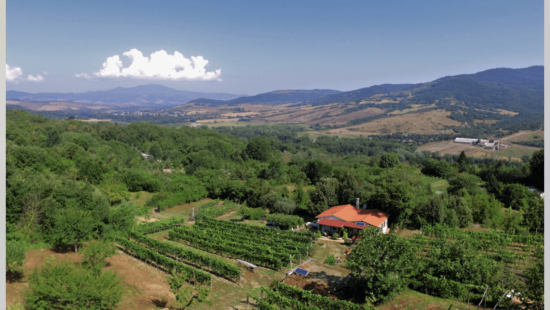 Mitt vinparadis – Acquapendente i Italia