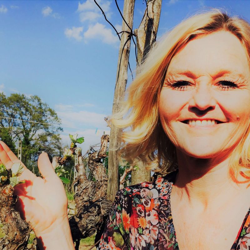 Er du en av dem som drømmer om en annen jobb, et annet liv? Drømmer er til for å oppfylles, mener jeg! Selv er jeg godt i gang med vindrømmen! Jeg elsker min nye jobb, men helt problemfritt er det ikke.