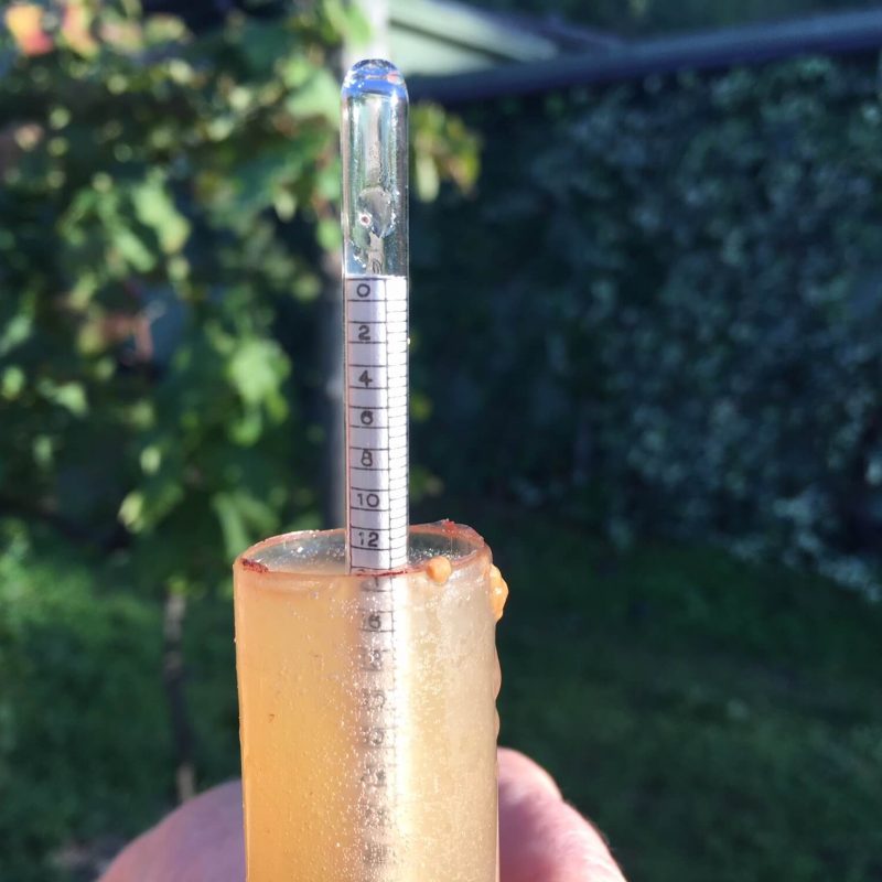 Med et hydrometer, også kalt mostimeter, kan vi måle sukker og alkohol i vin, eller mosten fra druer som gjærer. Det er et viktig instrument på vingården.