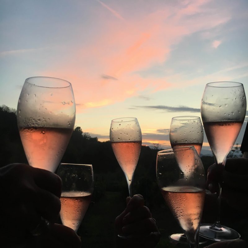 Verden kommer til å få mer enn nok vin neste år, for ifølge nye tall er vinåret 2018 bedre enn på mange år, totalt 282 millioner hektoliter vin. Det kan bety billigere vin allerede neste år. Norske vinprodusenter i Italia og Portugal håper derimot at forbrukerne foretrekker kvalitet.