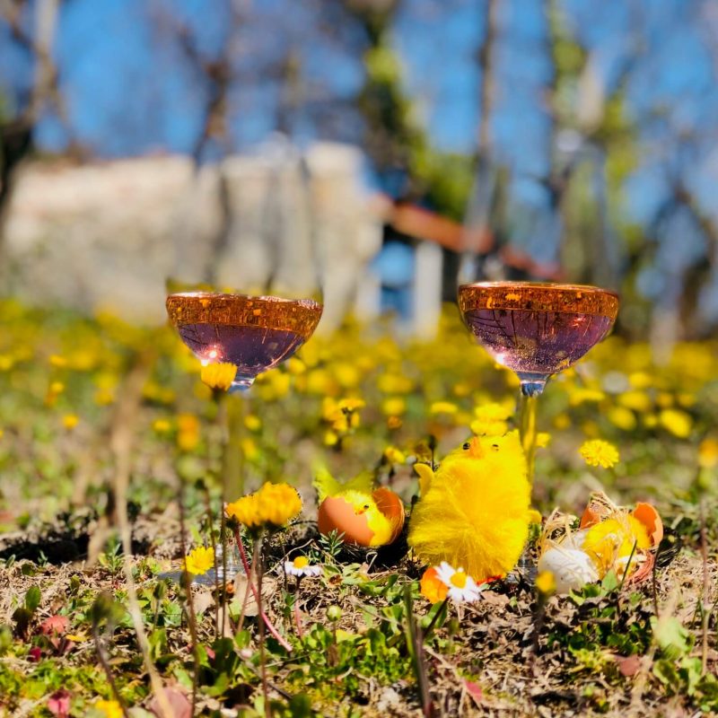 Har du årets påskeviner i hus? Hvis ikke, her er noen forslag til viner som er inne på de fleste pol. Det er musserende, rosévin, hvitvin, rødvin og dessertvin. Noen egner seg i solveggen, andre til påskematen. God påske!