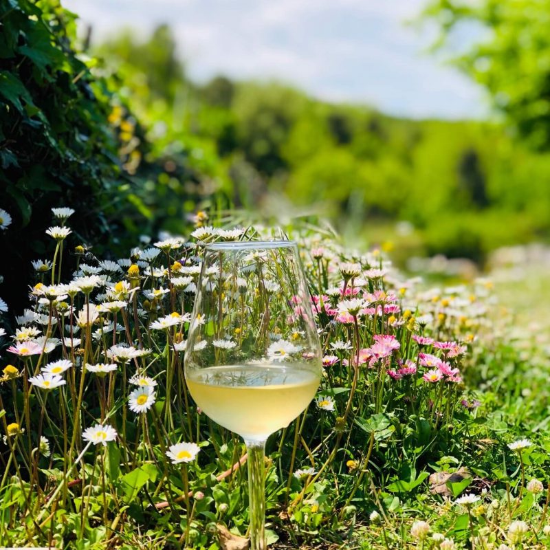 Det er tid for det slippet som fokuserer på lyse og lette viner tilpasset vår og sommer. I maislippet på Vinmonopolet er det mye lovende og godt. Vinene lanseres 3. mai.