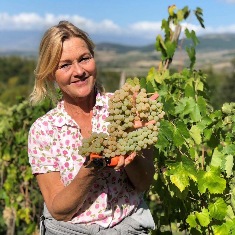 Hver innhøsting er spennende, men vinhøsten 2020 er det på en ny måte. Har du druene klart seg etter varmen og så regnet, og vil vi vi i det hele tatt klare å høste dem på vingården vår i Italia?