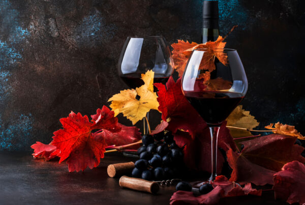 Syrahdrua lager ypperlige viner til høst og vinter. Her er forslag til 10 viner, flere av dem på syrah fra Crozes-Hermitage.