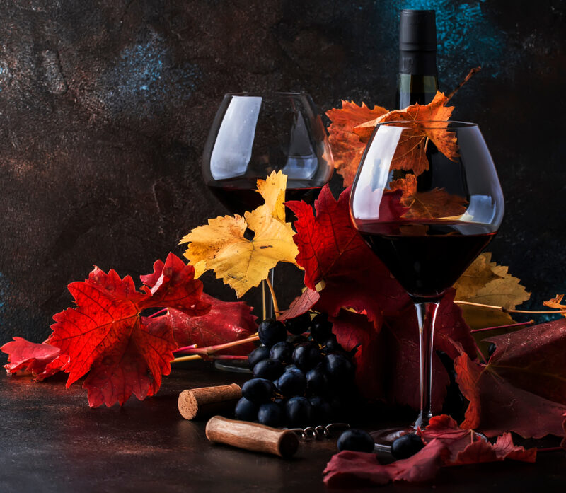 Syrahdrua lager ypperlige viner til høst og vinter. Her er forslag til 10 viner, flere av dem på syrah fra Crozes-Hermitage.