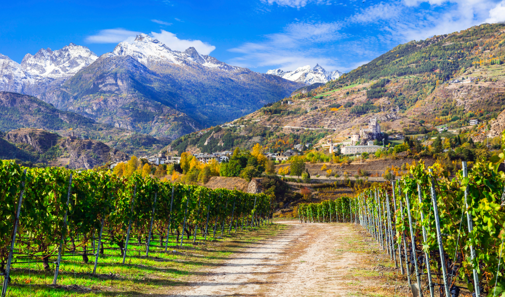 Vin fra Aosta – Italias minste vindistrikt