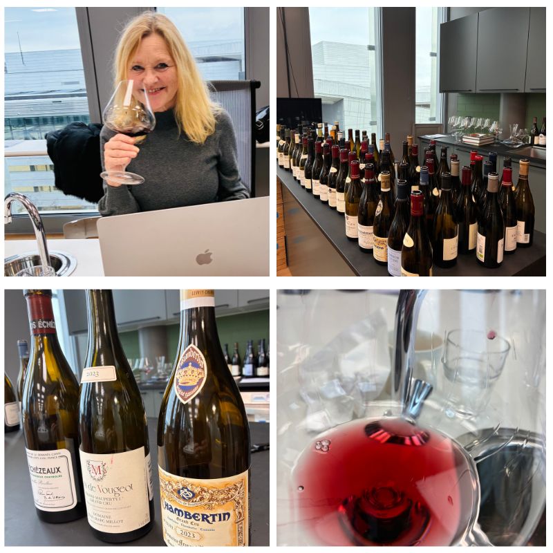 Burgund 2023 årgangen. Hvilke er verdt å kjøpe!? 